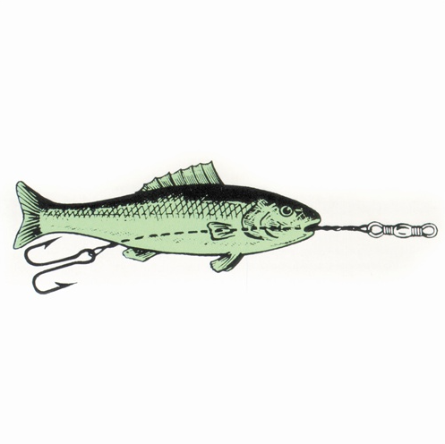 Minnow Rigs – Hunted Treasures