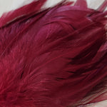 Premium Saddle Hackle