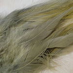 Premium Saddle Hackle