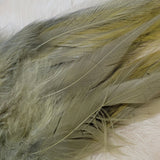 Premium Saddle Hackle