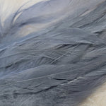 Premium Saddle Hackle