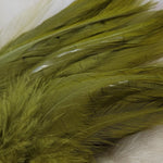 Premium Saddle Hackle