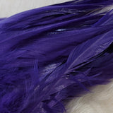 Premium Saddle Hackle