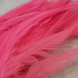 Premium Saddle Hackle