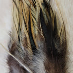 Premium Saddle Hackle