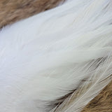 Premium Saddle Hackle