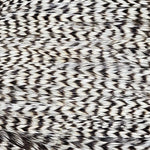 Genetic Rooster Mini Pack For Hook Size 10-14