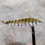 Game Changer with Eyes - Olive/White with Black Stripes