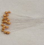 Epoxy Mono Shrimp Eyes