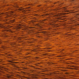 Deer Body Strip