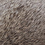 Deer Body Strip