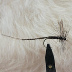 Extended Body Mosquito