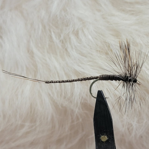 Extended Body Mosquito