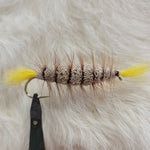 Salmon Bomber - Yellow Tail, Natural Body with Brown Hackle