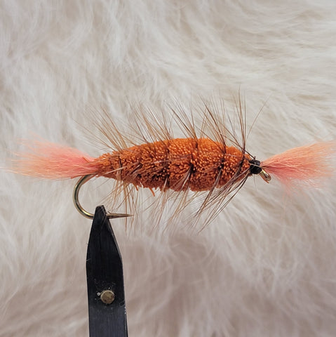 Salmon Bomber - Orange Tail, Orange Body with Brown Hackle