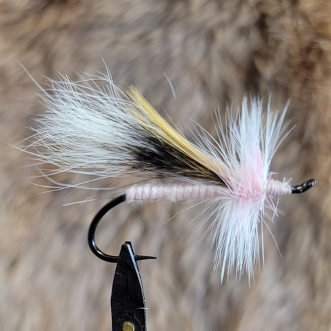 Pink Lady MacIntosh