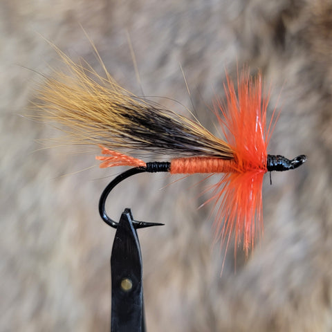 Orange Hackle MacIntosh