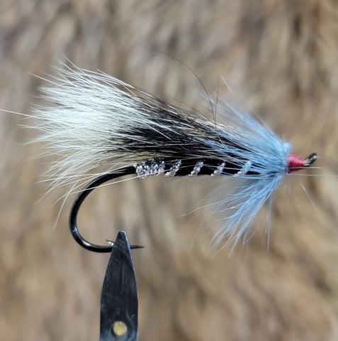 Blue Charm - Dunn Hackle Variation