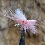 Pink Pig