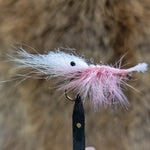 Pink Pig