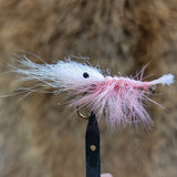 Pink Pig
