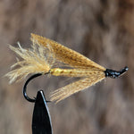 Abe Autumn Killer Variant