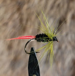 Hackle Peacock