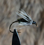Hackle Peacock