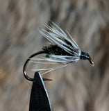 Hackle Peacock