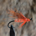 Orange Player