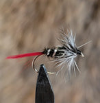 Grayling Witch Wet