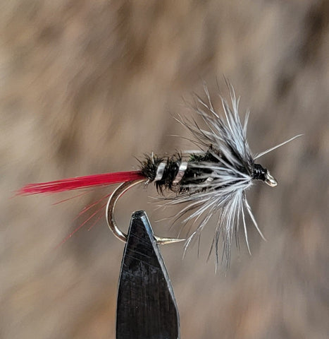 Grayling Witch Wet