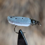 White and Grey Foam Beetle