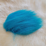 Dyed Polar Bear