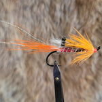 Ally's Shrimp