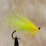Green Cardinelle