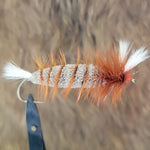 Salmon Bomber - Brown Body, White Split Wing