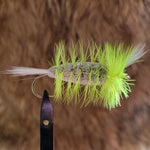 Salmon Bomber - Chartreuse Hackle