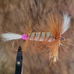 Salmon Bomber - Brown Hackle, Colored Butt