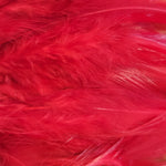 Hackle 6"-8"