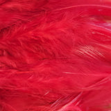 Hackle 6"-8"
