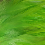 Hackle 6"-8"