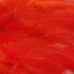 Hackle 6"-8"