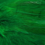 Hackle 6"-8"