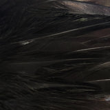 Hackle 6"-8"