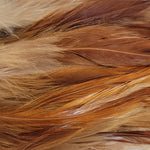 Hackle 6"-8"