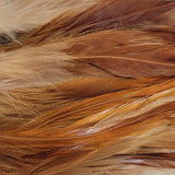 Hackle 6"-8"