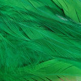 Hackle 6"-8"