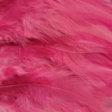 Hackle 6"-8"