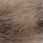 Calf Tail